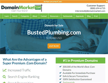 Tablet Screenshot of bustedplumbing.com